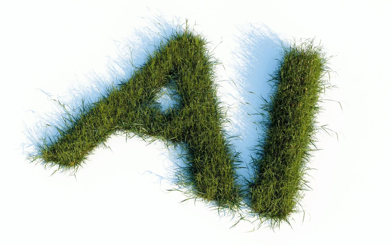 Die Buchstaben A und I, aus Gras geformt, vor weißem Hintergrund