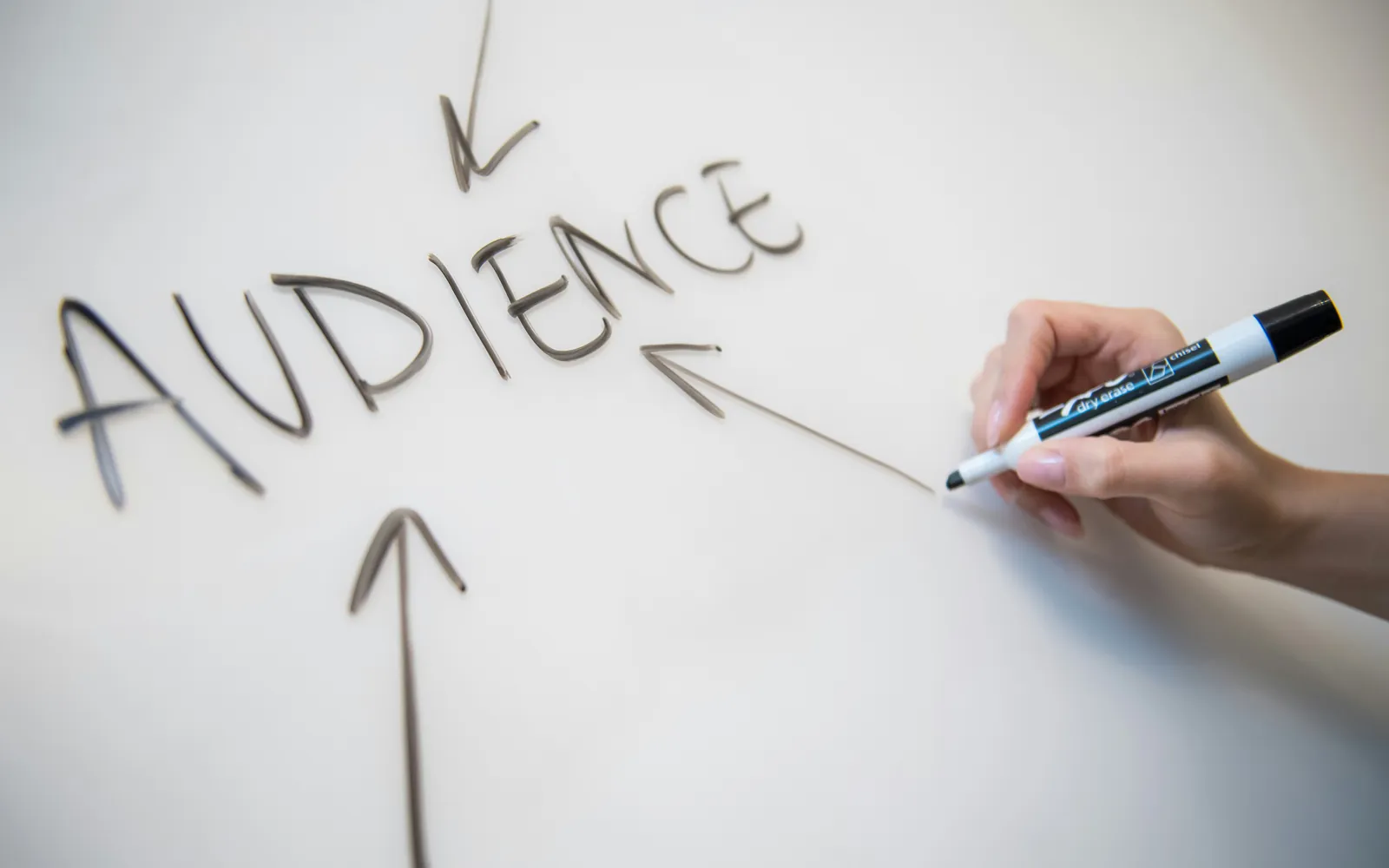 Eine Hand schreibt das Wort „Audience“ mit Pfeilen auf ein Whiteboard